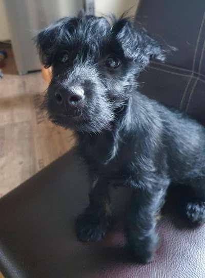 Lieblingsbild-Beitrag-Bild