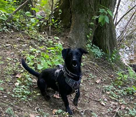 Lieblingsbild :D-Beitrag-Bild