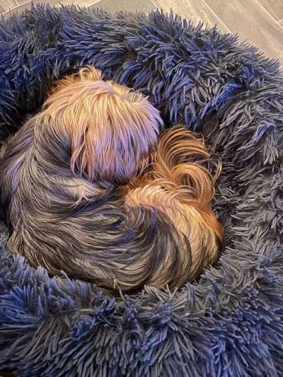 Schlafzeit!💖-Beitrag-Bild