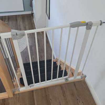 Treppenschutz?-Beitrag-Bild