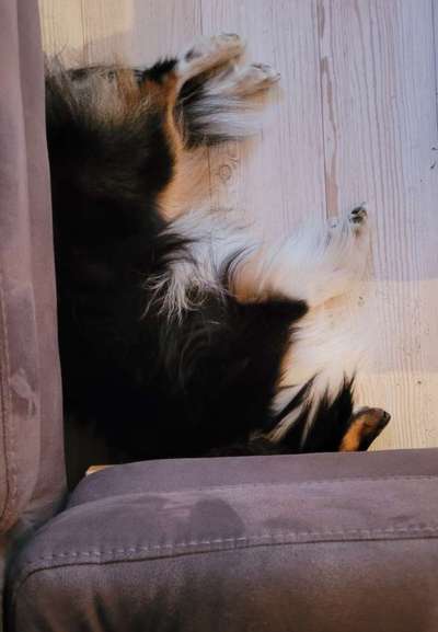 Handy-Foto Challange Nr. 10-Beitrag-Bild