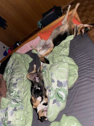 Die unbequemsten und lustigsten Schlafpositionen-Beitrag-Bild