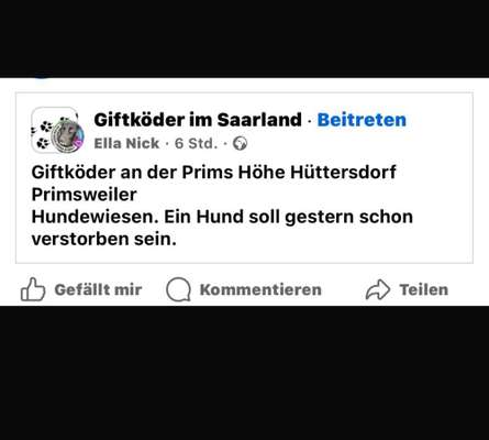 Giftköder-Giftköder in Hüttersdorf-Bild