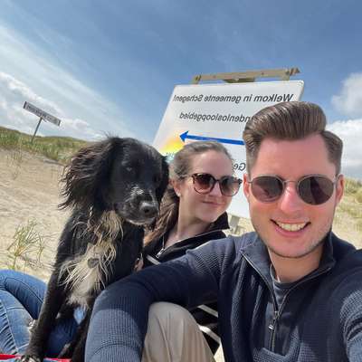 Hundetreffen-Stellinger Schweiz-Profilbild