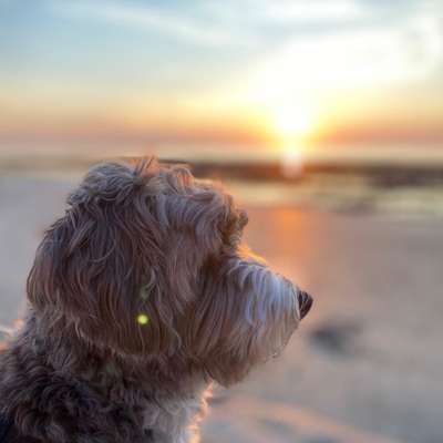 Christine's Profilbild