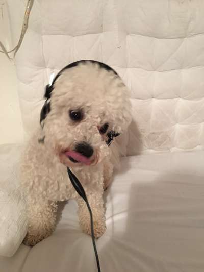 Her mit dem Grimassen-Beitrag-Bild