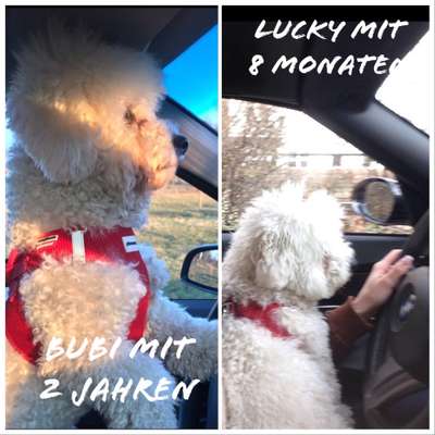 Doppelgänger gesucht !-Beitrag-Bild