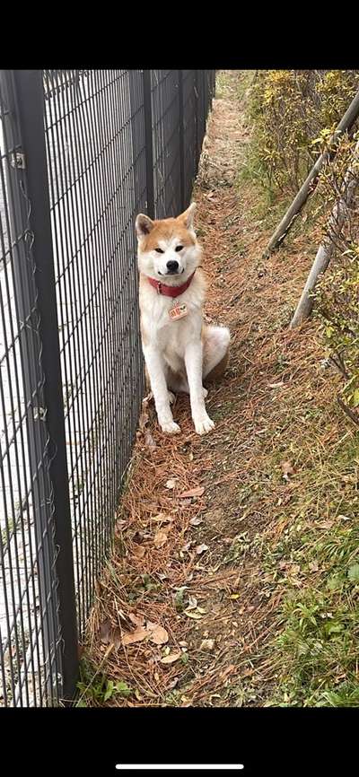 Nervige Sprüche und Vorurteile-Beitrag-Bild