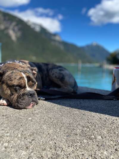 Lieblingsbild-Beitrag-Bild