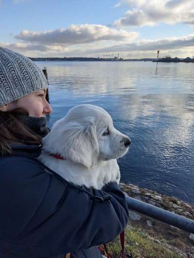 Dogorama-Monats-Challenge-Mai "Wasser"-Beitrag-Bild