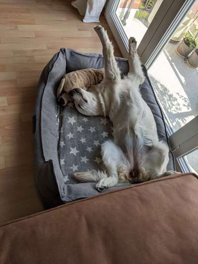 CHALLENGE NR. 34 - Liege-/Schlafpositionen-Beitrag-Bild