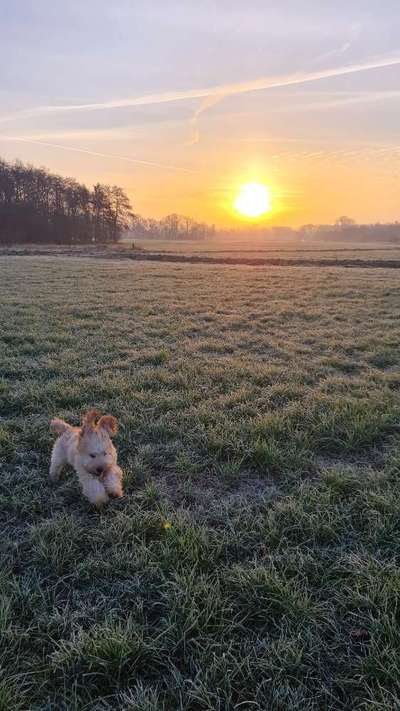 Lustigsten Bilder-Beitrag-Bild