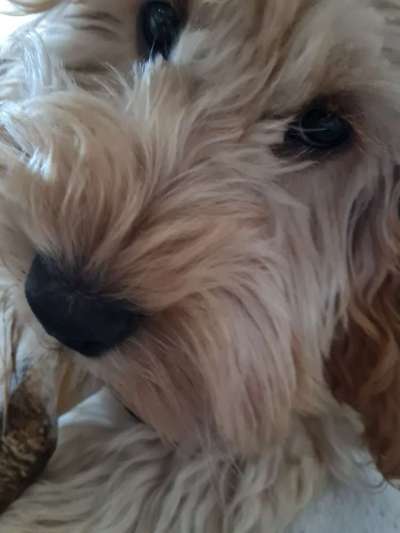 Nahaufnahme-Beitrag-Bild