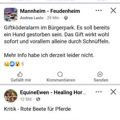 Giftköder-Mögliche Giftköder-Bild