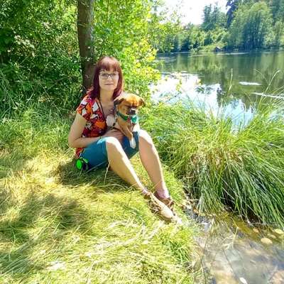 Hundetreffen-Gassi- &/Spielrunde in Tholey&Umgebung