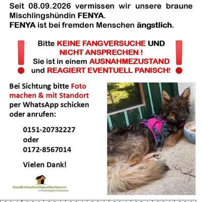 Suchmeldung-FENYA-Bild