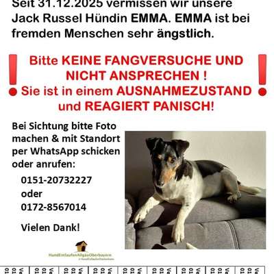 Suchmeldung-Emma-Bild