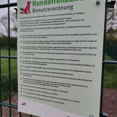 Hundeauslaufgebiet-Hundewiese Recklinghausen-Bild