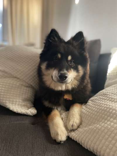 Lieblingsbild-Beitrag-Bild