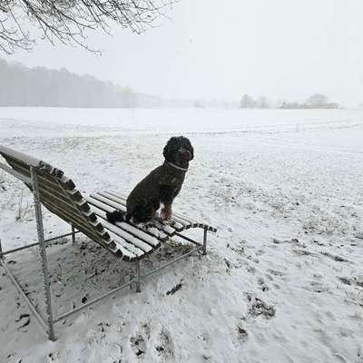 Wie habt ihr den Silvesterabend verbracht?-Beitrag-Bild