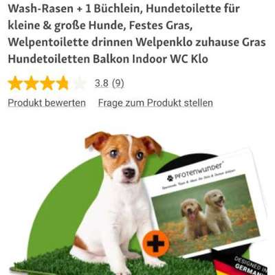 Erfahrungen mit Hundetoilette für den Notfall in Wohnung-Beitrag-Bild