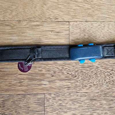 Welches Halsband für Tractive-Beitrag-Bild