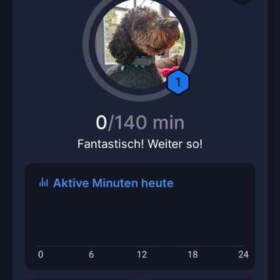 TRACTIVE und angezeigte Kalorien-Beitrag-Bild