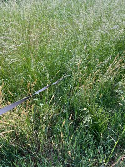 Fotochallange 84-Beitrag-Bild