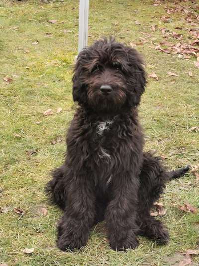 Fotochallange Nr. 57     PORTRÄT.   Beendet!!!!!!!!-Beitrag-Bild