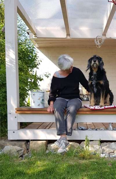 Griechische Bracke-Beitrag-Bild