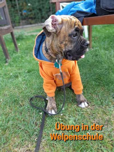 121. Fotochallenge-Beitrag-Bild