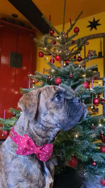 11. Farben Foto Challenge Rot-Beitrag-Bild