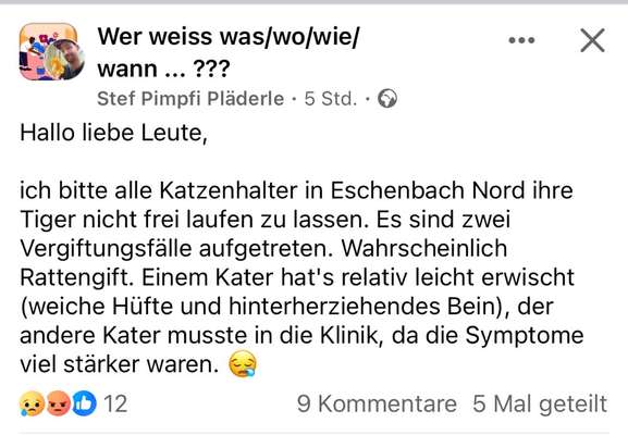 Giftköder-Wohl Rattengift ausgelegt-Bild