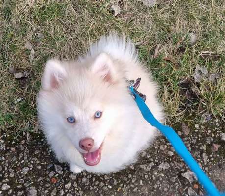 Fotochallenge Nr. 67: Euer Lieblingsbild-Beitrag-Bild