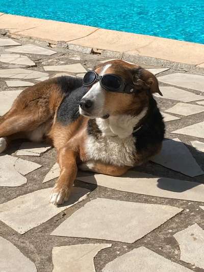 Lieblingsbild-Beitrag-Bild