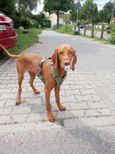 Lieblingsbild-Beitrag-Bild