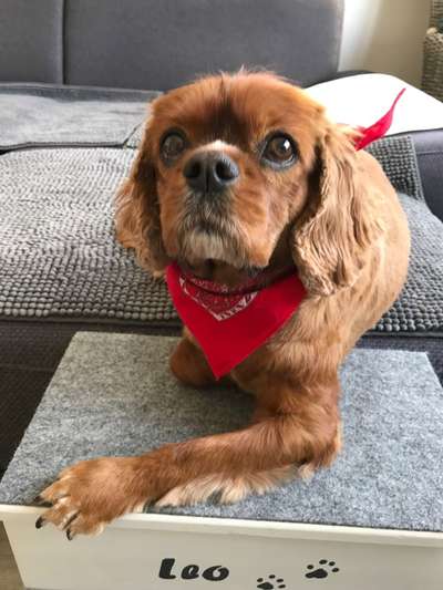 Fotochallange Nr. 57     PORTRÄT.   Beendet!!!!!!!!-Beitrag-Bild