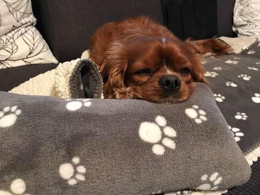 Schlafzeit!💖-Beitrag-Bild