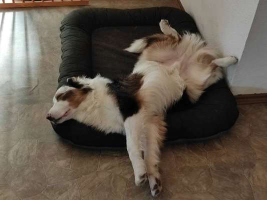 Die unbequemsten und lustigsten Schlafpositionen-Beitrag-Bild