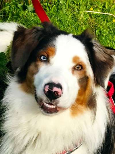 Handy-Foto Challange Nr. 10-Beitrag-Bild