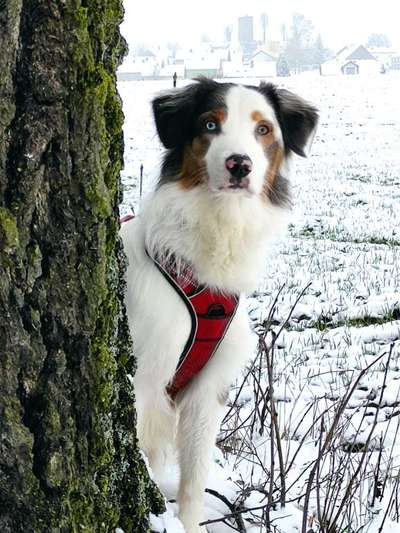 Zeigt eure Portraits-Beitrag-Bild