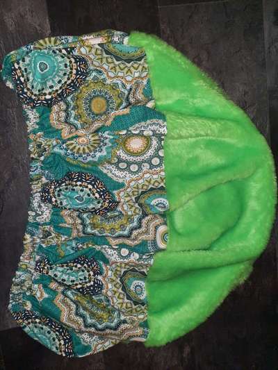 Windhunde - Treffen der besonderen Schönheiten
HERZLICH WILLKOMMEN-Beitrag-Bild