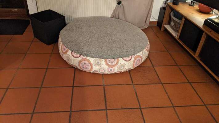 Windhunde - Treffen der besonderen Schönheiten
HERZLICH WILLKOMMEN-Beitrag-Bild