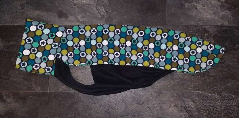 Windhunde und Winter - Pullover mit spezieller Passform?!-Beitrag-Bild