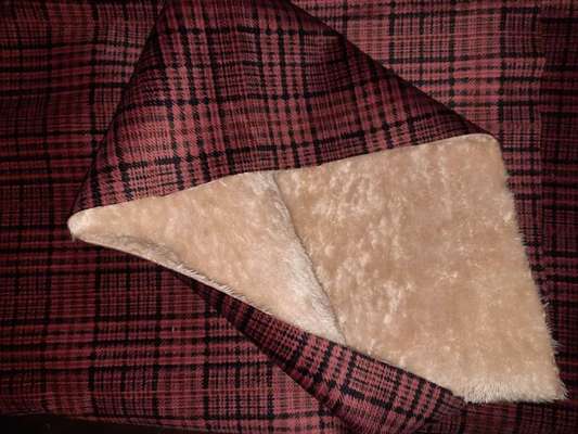 Windhunde - Treffen der besonderen Schönheiten
HERZLICH WILLKOMMEN-Beitrag-Bild