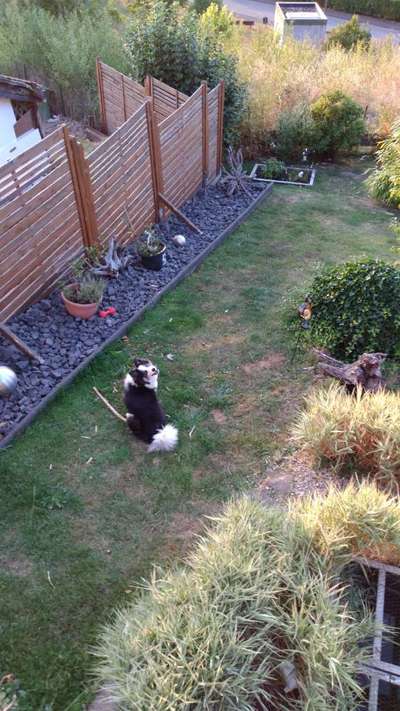 Handy-Foto Challange Nr. 10-Beitrag-Bild