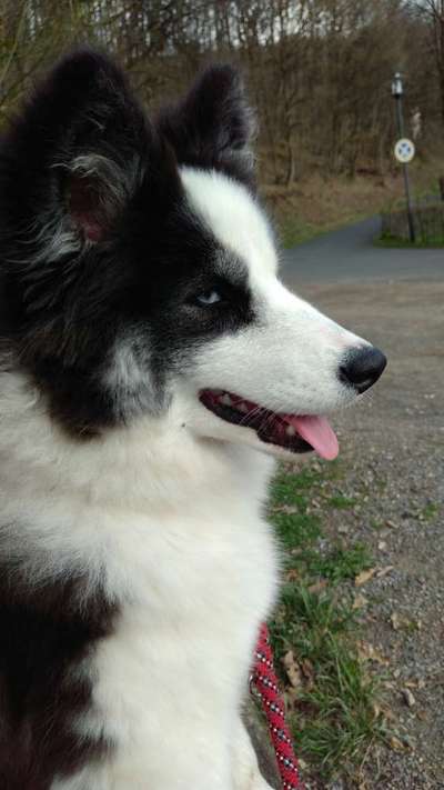 1. Fotochallenge Collagen - 4 Jahreszeiten-Beitrag-Bild