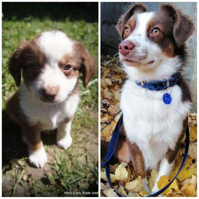 Vorher.... Nachher-Beitrag-Bild