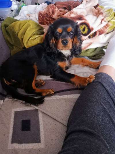 Foto Challenge 3-Beitrag-Bild