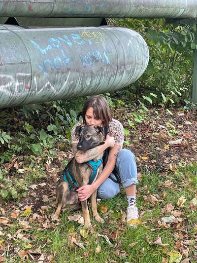 Hundetreffen-Social walk mit Angsthund (Angst vor Menschen und Straße)-Bild
